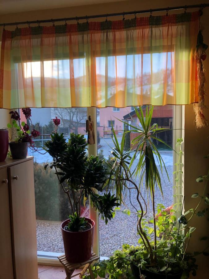 فيلا Dovolenkovy Dom Carnica Mlynky المظهر الخارجي الصورة